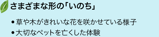 さまざまな形の「いのち」・草や木がきれいな花を咲かせている様子・大切なペットを亡くした体験　など