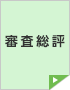 審査総評